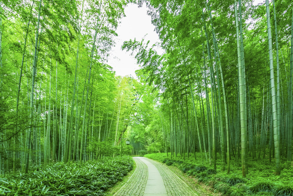 how to import bamboo kitchenware